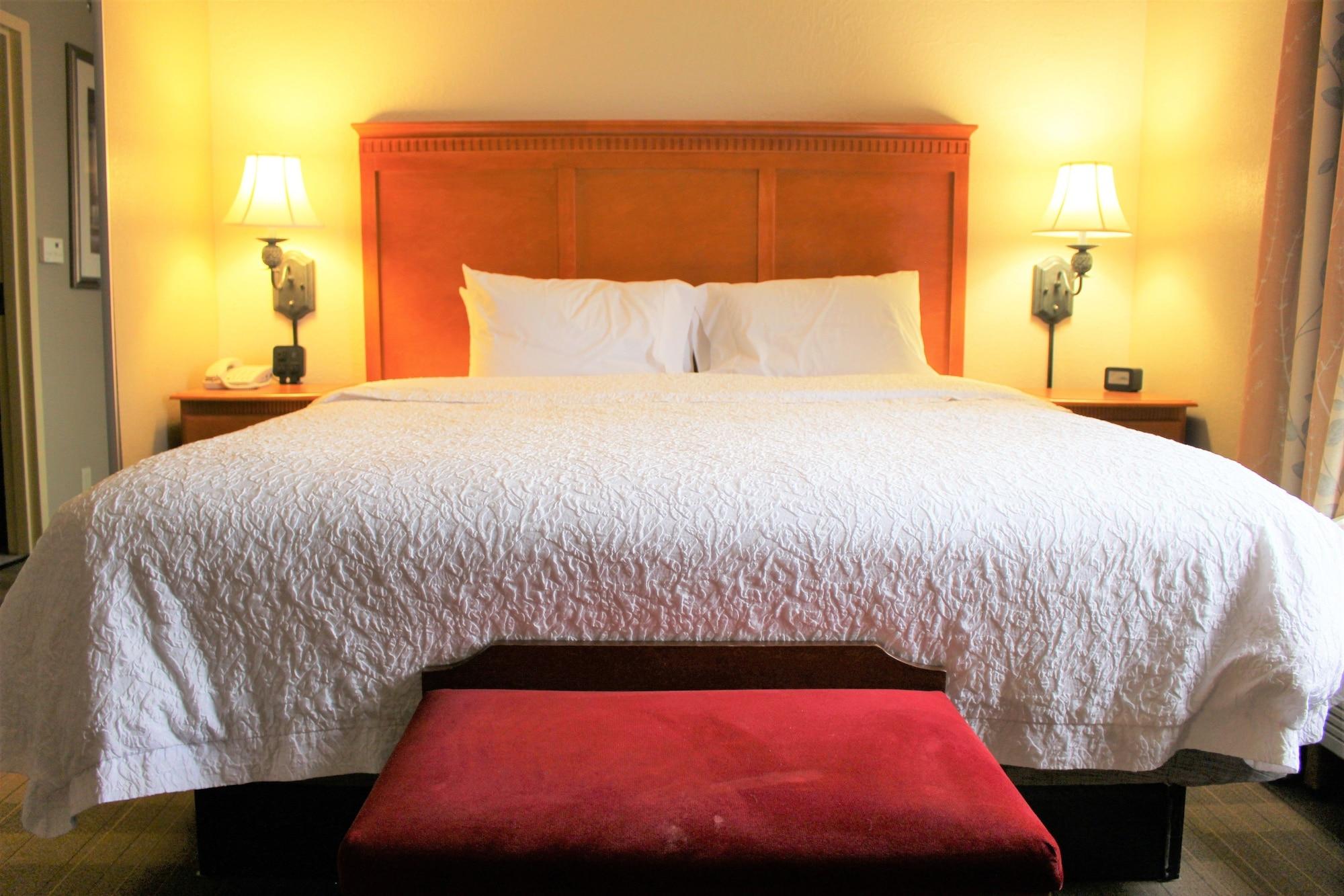Hampton Inn & Suites תיבודו מראה חיצוני תמונה