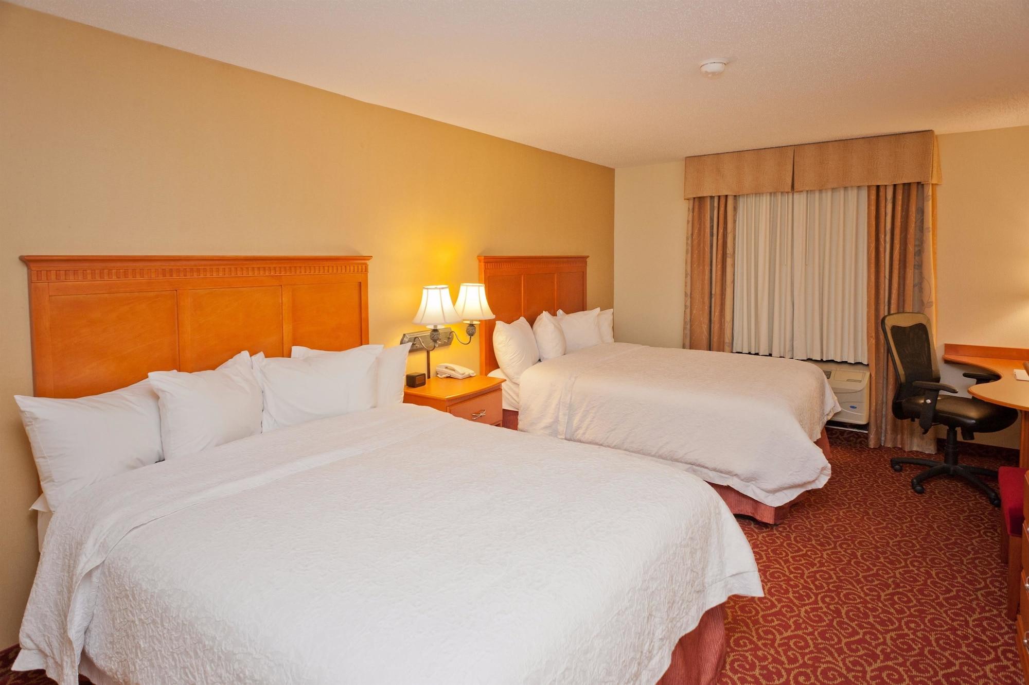 Hampton Inn & Suites תיבודו מראה חיצוני תמונה